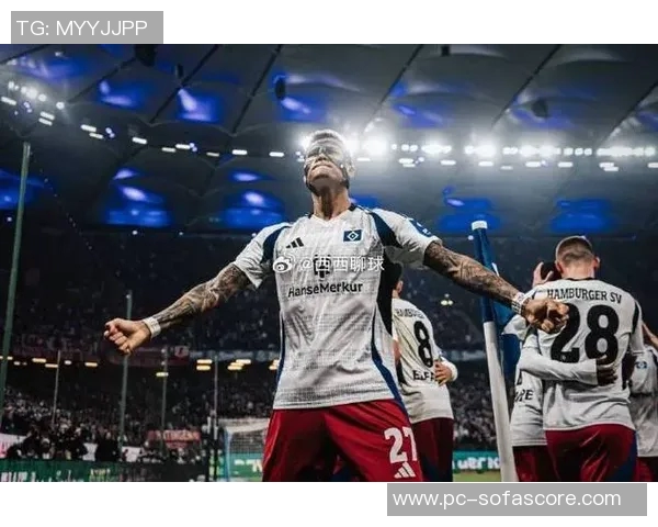 德乙联赛战平频繁汉堡重返德甲之路一片坦途 德乙联赛战平频繁汉堡重返德甲之路一片坦途