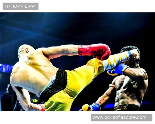 一龙与播求三番战再度交锋谁将成为巅峰之战的赢家揭晓荣耀与实力的较量